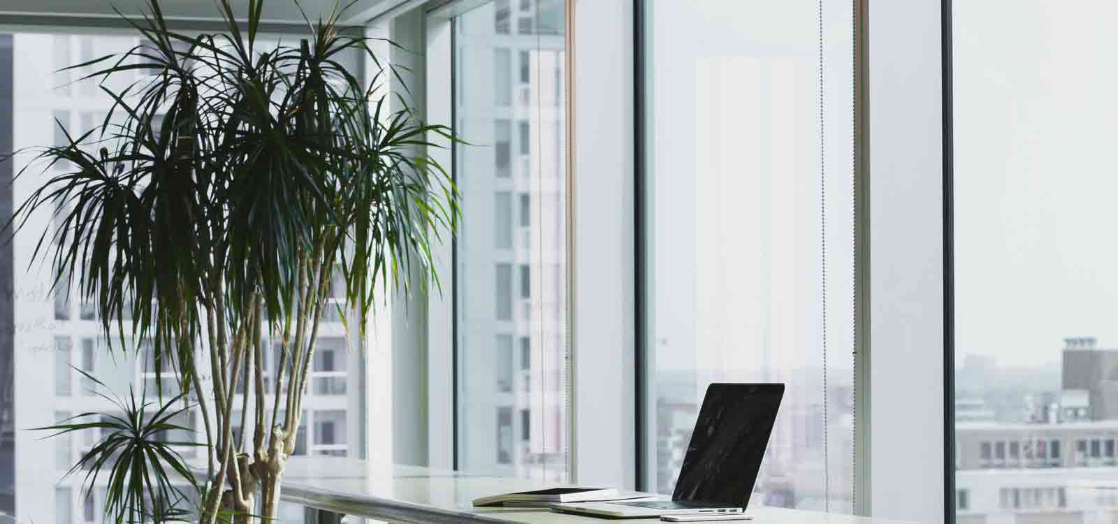 手机版ddos攻击器